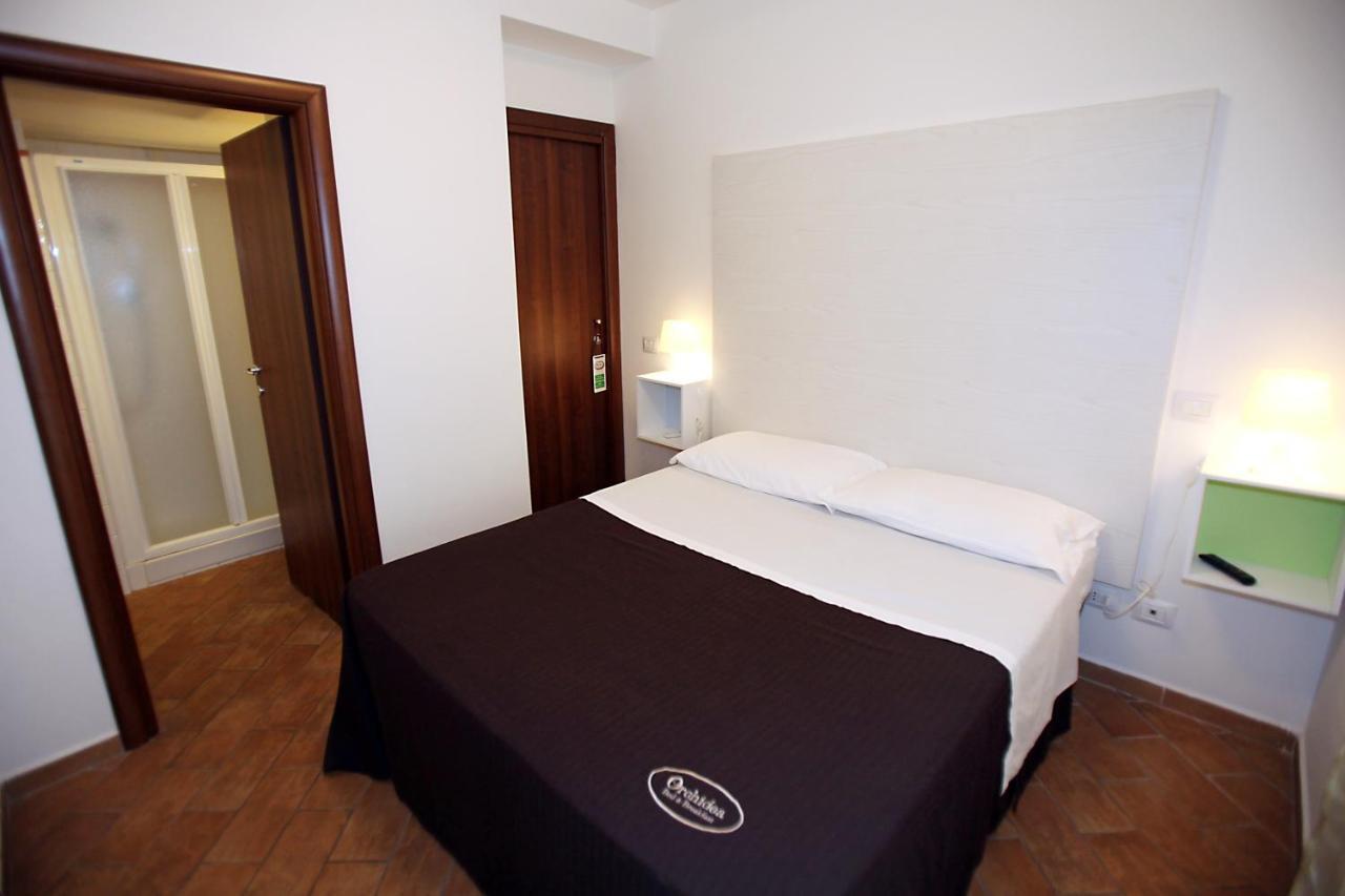 Orchidea Rooms & Suites 西维尔诺瓦·马尔凯 外观 照片